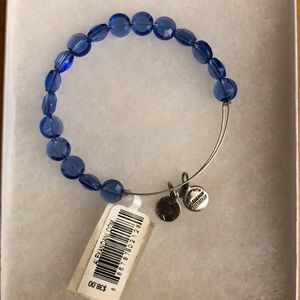 Alex and Ani Bracelet